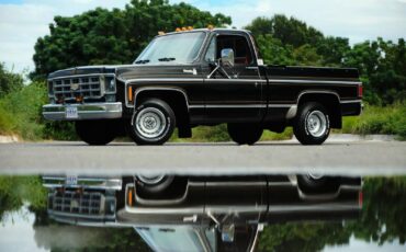 Chevrolet-C-10-1978-28