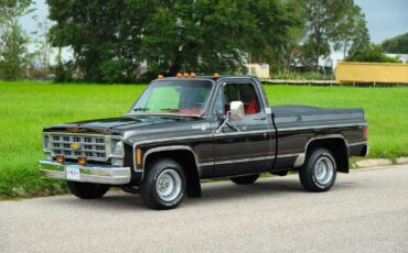 Chevrolet-C-10-1978-30