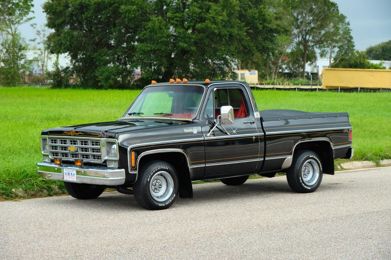 Chevrolet-C-10-1978-30