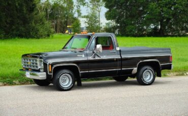 Chevrolet-C-10-1978-31