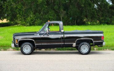 Chevrolet-C-10-1978-33