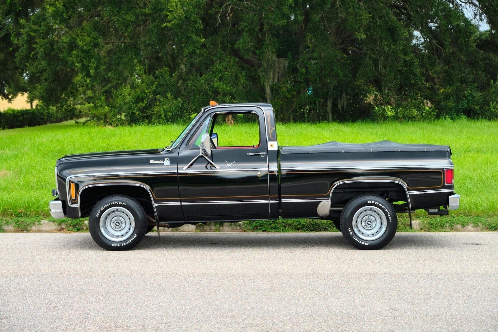 Chevrolet-C-10-1978-33