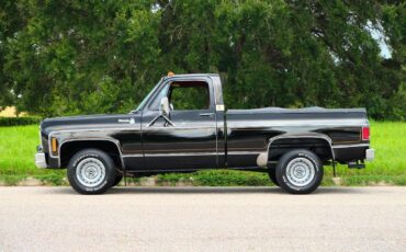 Chevrolet-C-10-1978-34