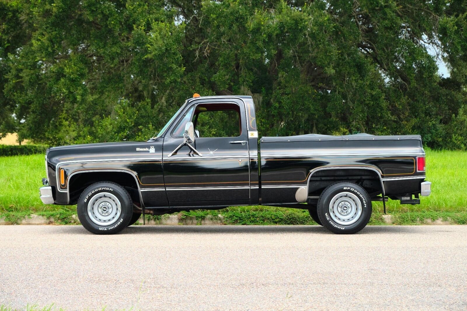 Chevrolet-C-10-1978-34