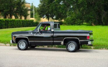 Chevrolet-C-10-1978-35