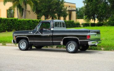 Chevrolet-C-10-1978-36