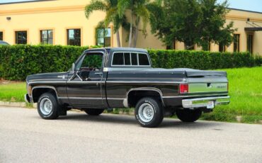 Chevrolet-C-10-1978-37