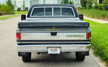 Chevrolet-C-10-1978-38