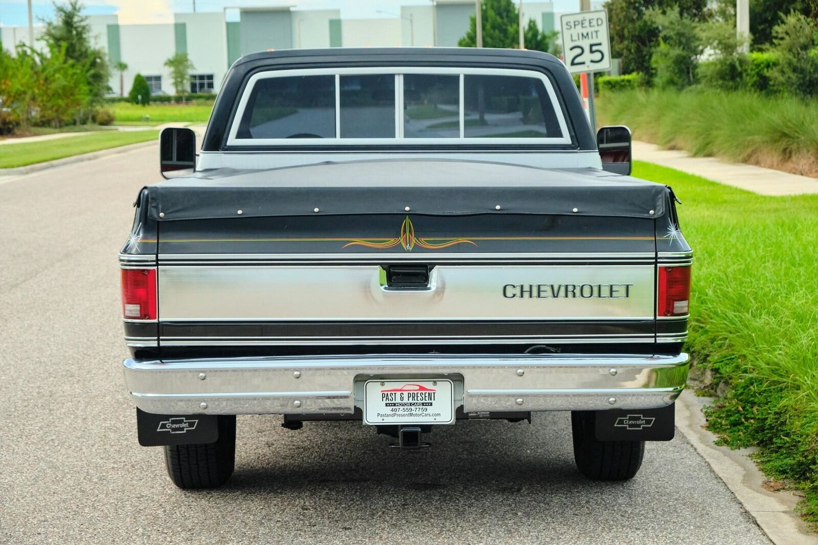 Chevrolet-C-10-1978-38