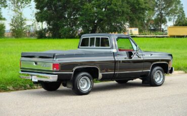 Chevrolet-C-10-1978-5