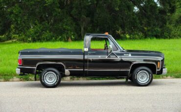 Chevrolet-C-10-1978-6