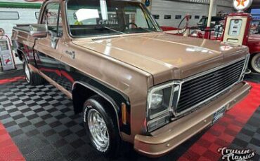 Chevrolet-C-10-1980-1