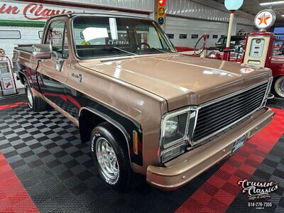 Chevrolet-C-10-1980-1