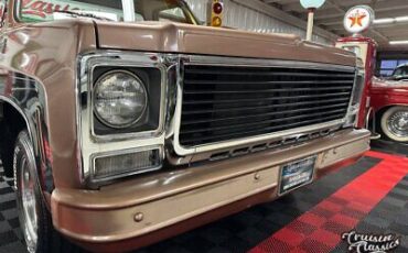 Chevrolet-C-10-1980-5