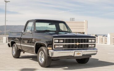 Chevrolet-C-10-1984-19