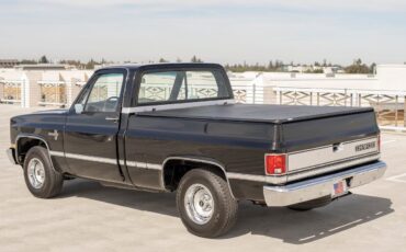 Chevrolet-C-10-1984-28