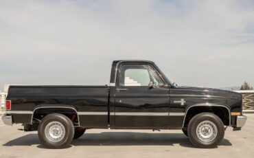 Chevrolet-C-10-1984-39