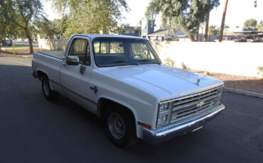 Chevrolet-C-10-1984-9