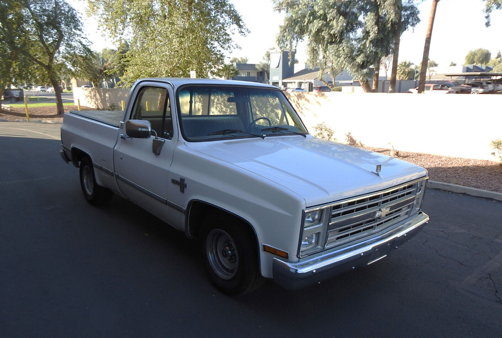 Chevrolet-C-10-1984-9