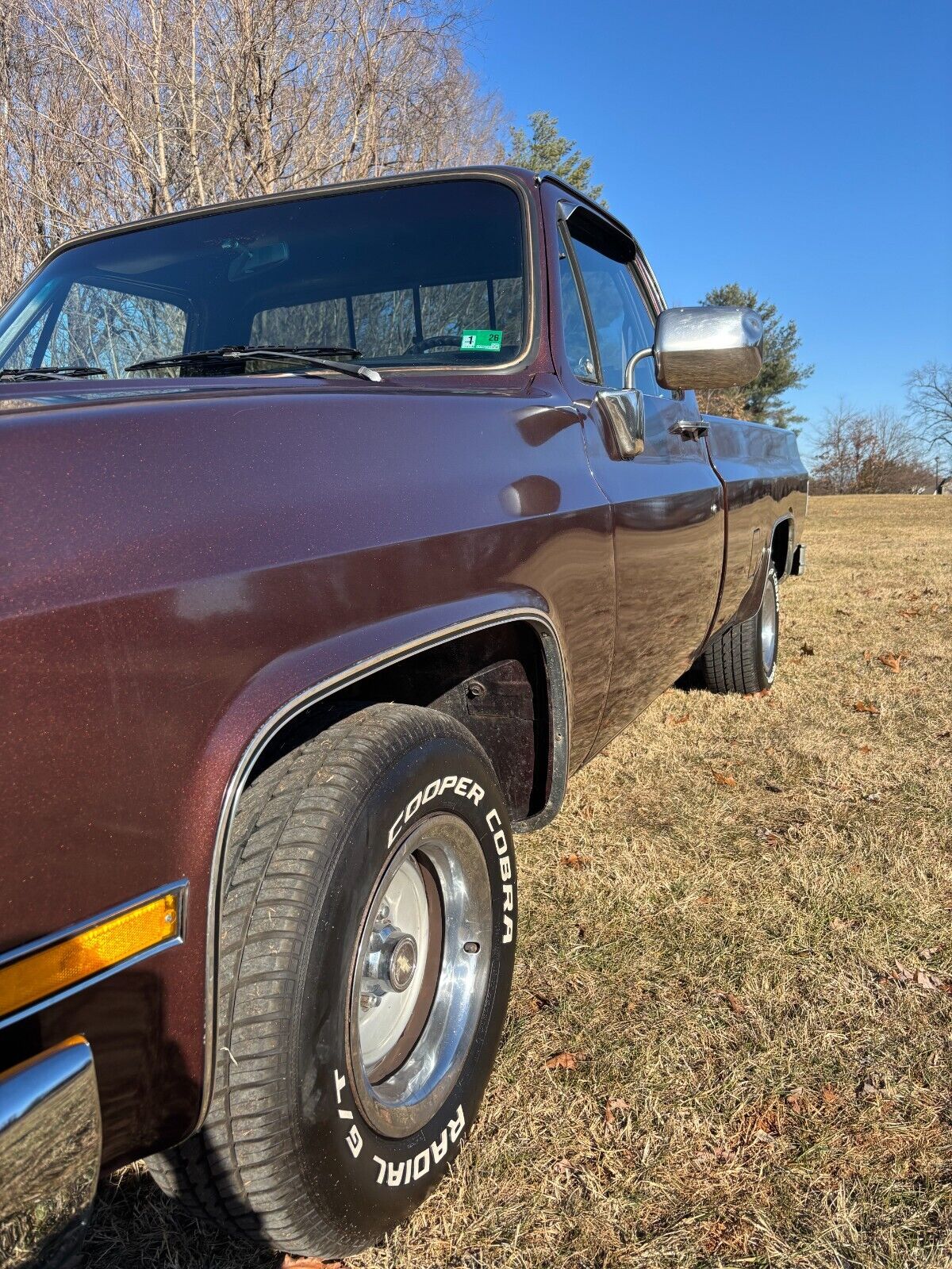 Chevrolet-C-10-1985-214847-10