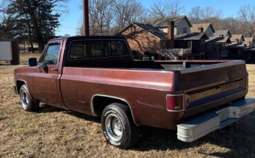 Chevrolet-C-10-1985-214847-4