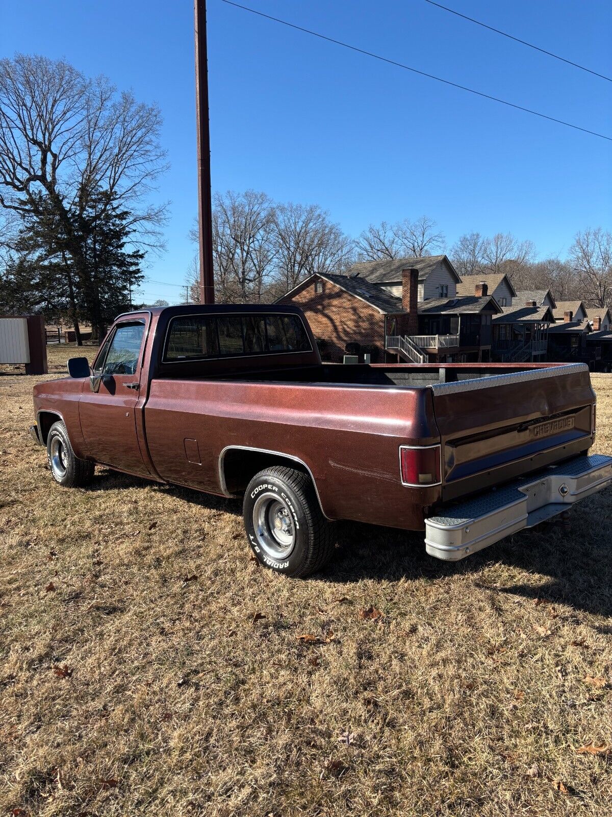 Chevrolet-C-10-1985-214847-4