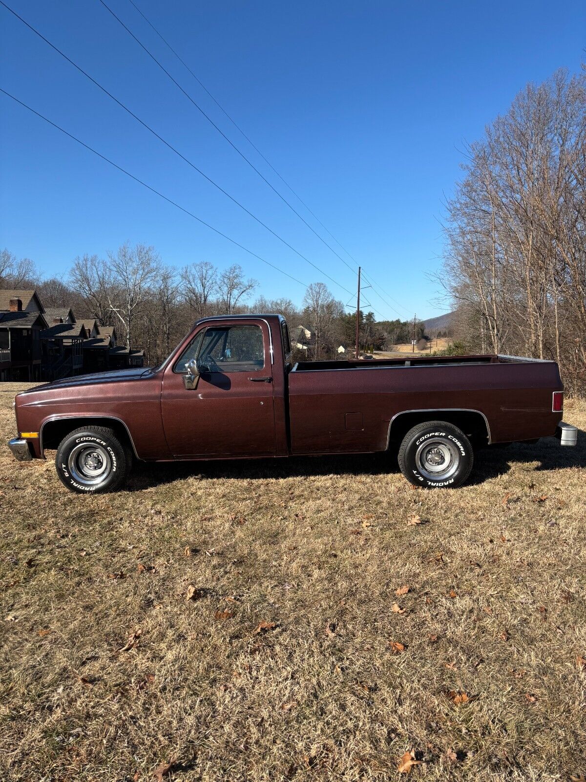 Chevrolet-C-10-1985-214847-5