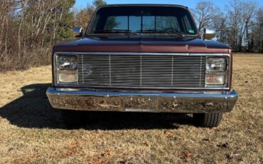 Chevrolet-C-10-1985-214847-6