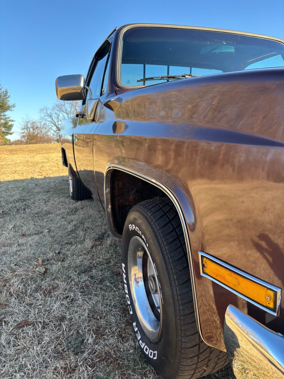 Chevrolet-C-10-1985-214847-8