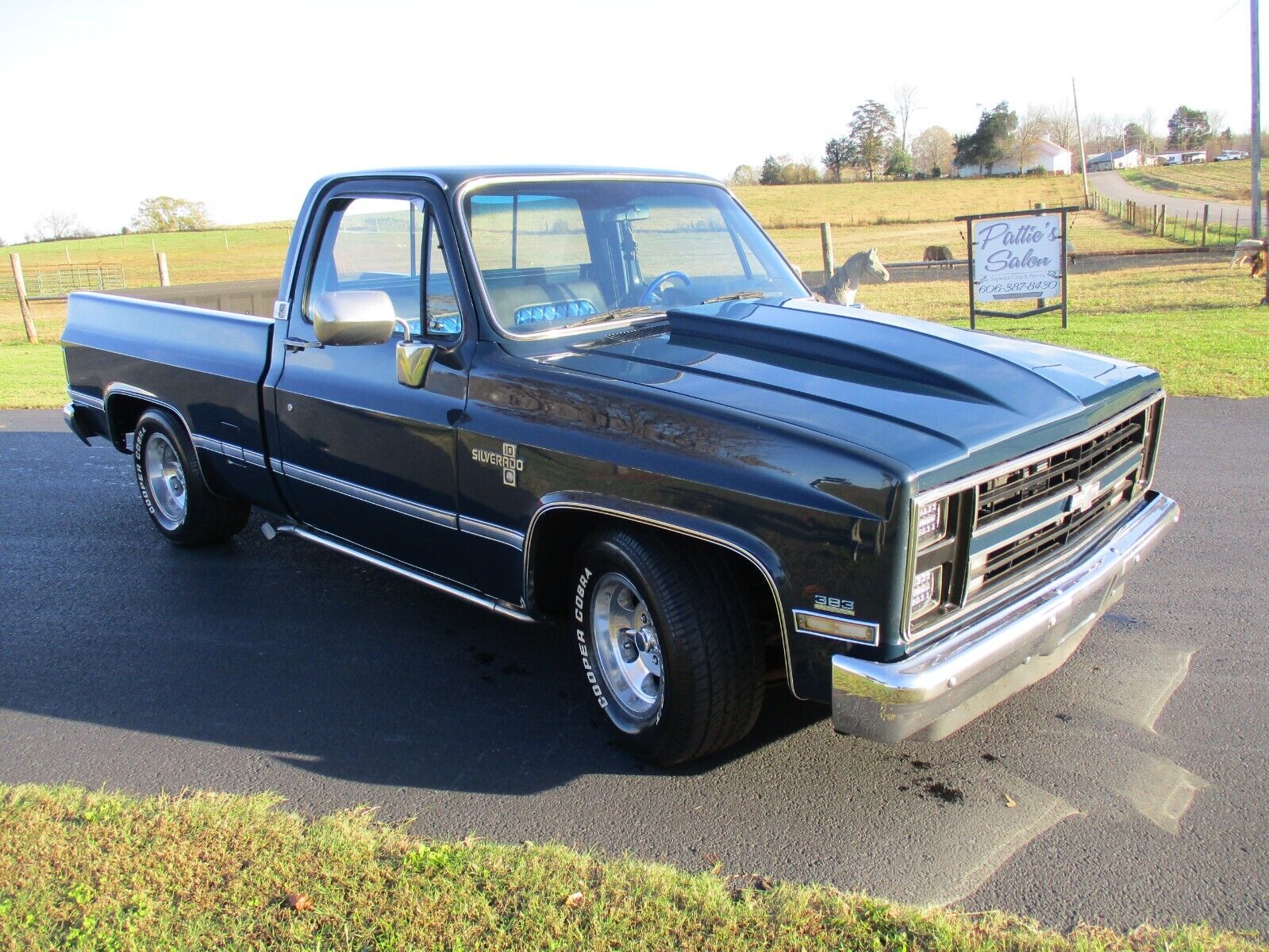 Chevrolet C-10  1986 à vendre