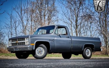 Chevrolet-C-10-1986-Silver-Red-110473-2