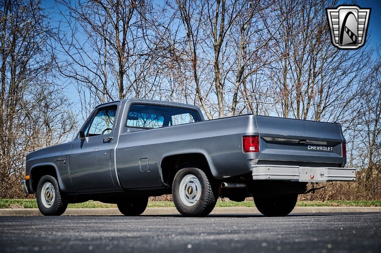 Chevrolet-C-10-1986-Silver-Red-110473-4