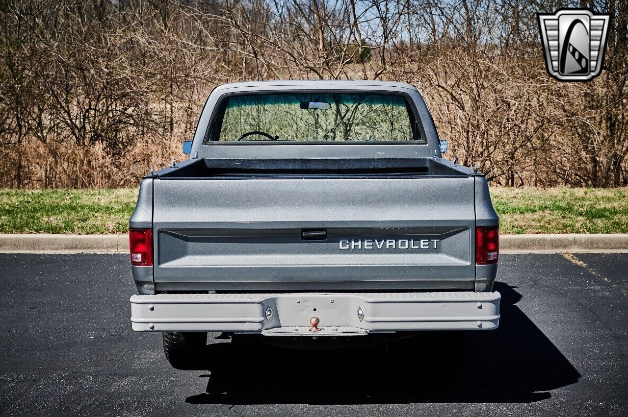 Chevrolet-C-10-1986-Silver-Red-110473-5