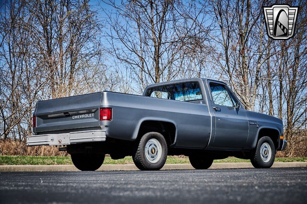 Chevrolet-C-10-1986-Silver-Red-110473-6