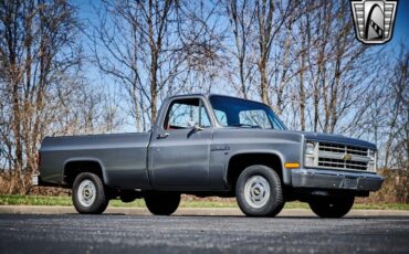 Chevrolet-C-10-1986-Silver-Red-110473-8