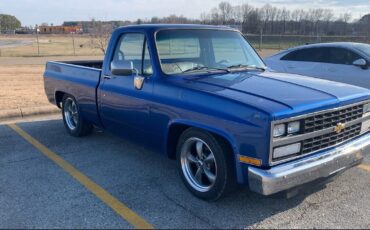 Chevrolet-C-10-1987-Blue-14001-2