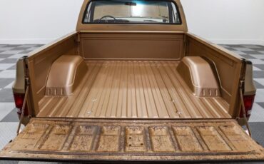 Chevrolet-C-10-Pickup-1980-Brown-Brown-97-18