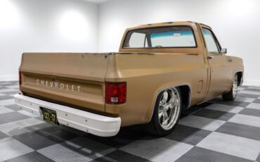 Chevrolet-C-10-Pickup-1980-Brown-Brown-97-6