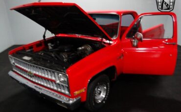 Chevrolet-C-10-Pickup-1981-11