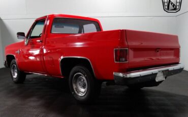 Chevrolet-C-10-Pickup-1981-5