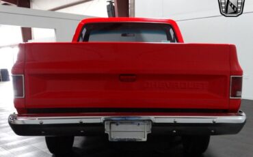 Chevrolet-C-10-Pickup-1981-6