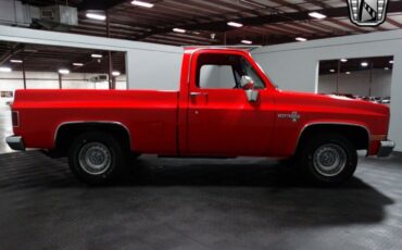 Chevrolet-C-10-Pickup-1981-8