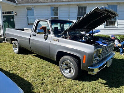 Chevrolet-C-10-Silverado-Pickup-1980-9