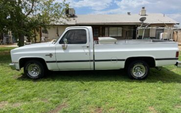 Chevrolet-C-10-silverado-1984-5