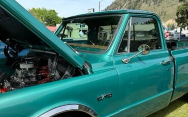 Chevrolet-C10-1969-green-1986-10