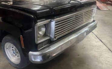 Chevrolet-C10-1977-161-2