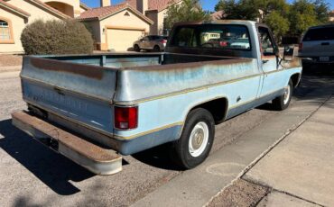 Chevrolet-C10-1977-35405-1