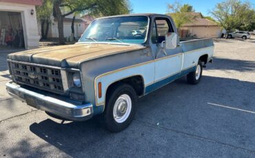 Chevrolet-C10-1977-35405