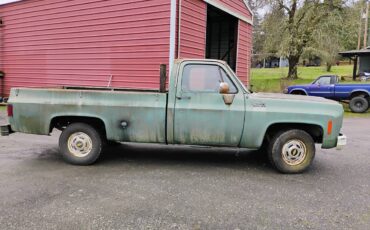 Chevrolet-C10-1977-green-74387-1