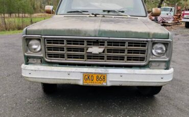 Chevrolet-C10-1977-green-74387-2